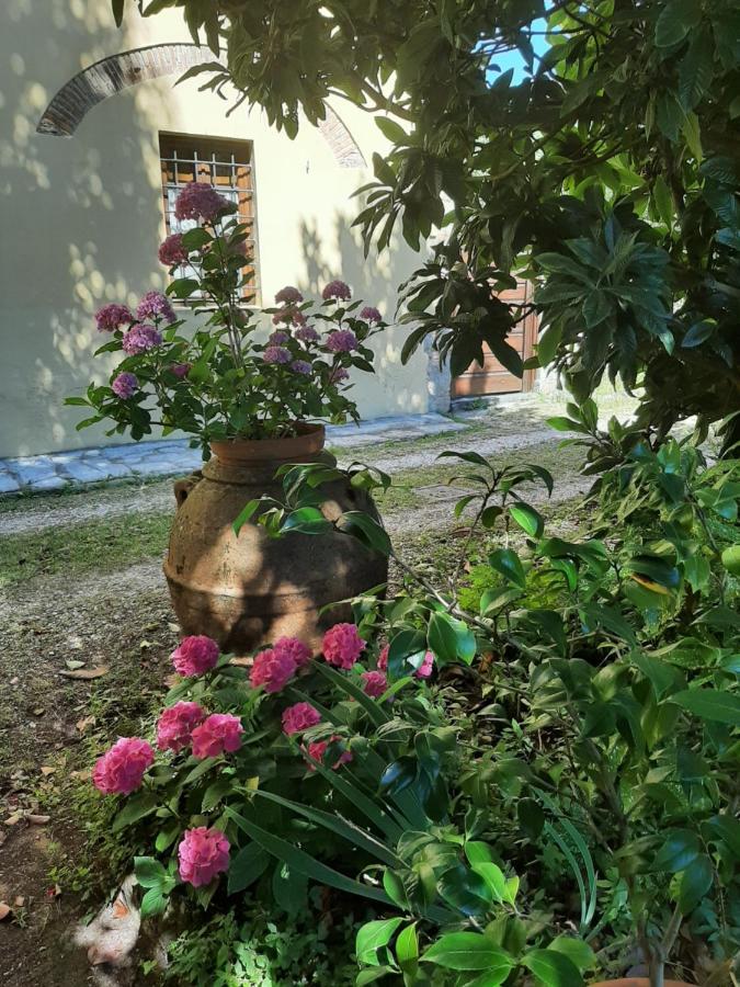 Antica Fattoria La Verdina 카마이오레 외부 사진
